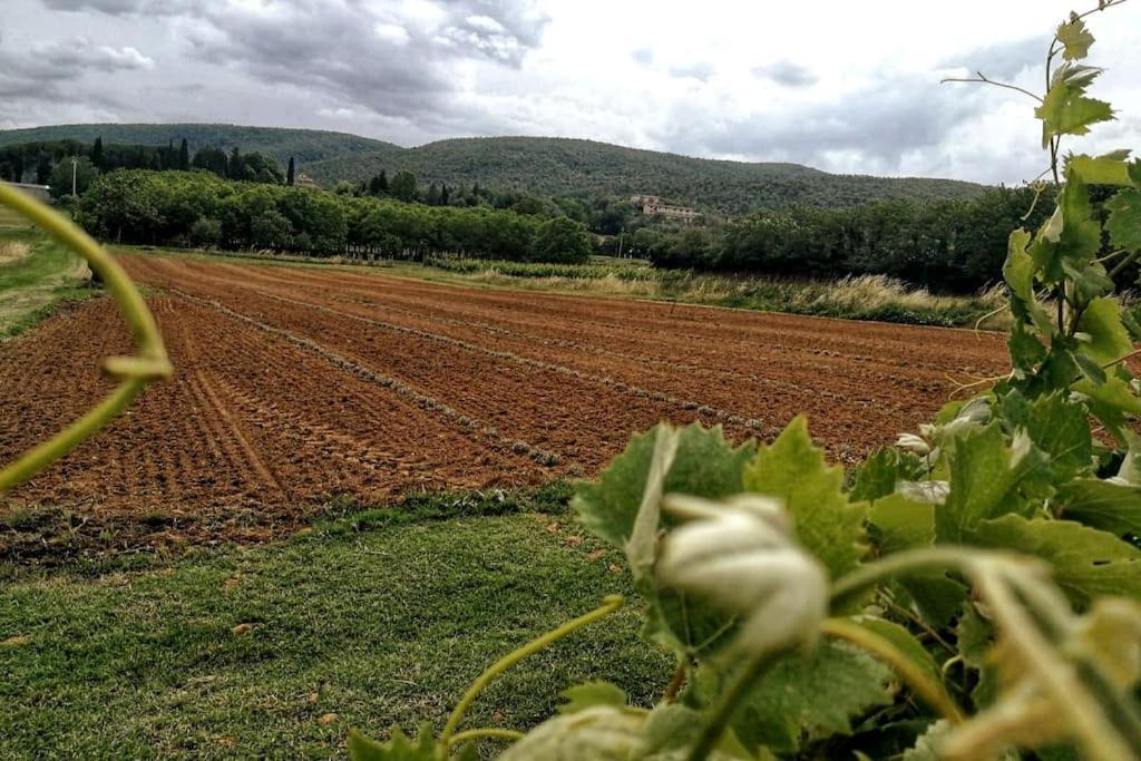 Claudia Vacanza Toscana - Appartamento Melograno -10 Min Da Siena Sovicille Exterior photo